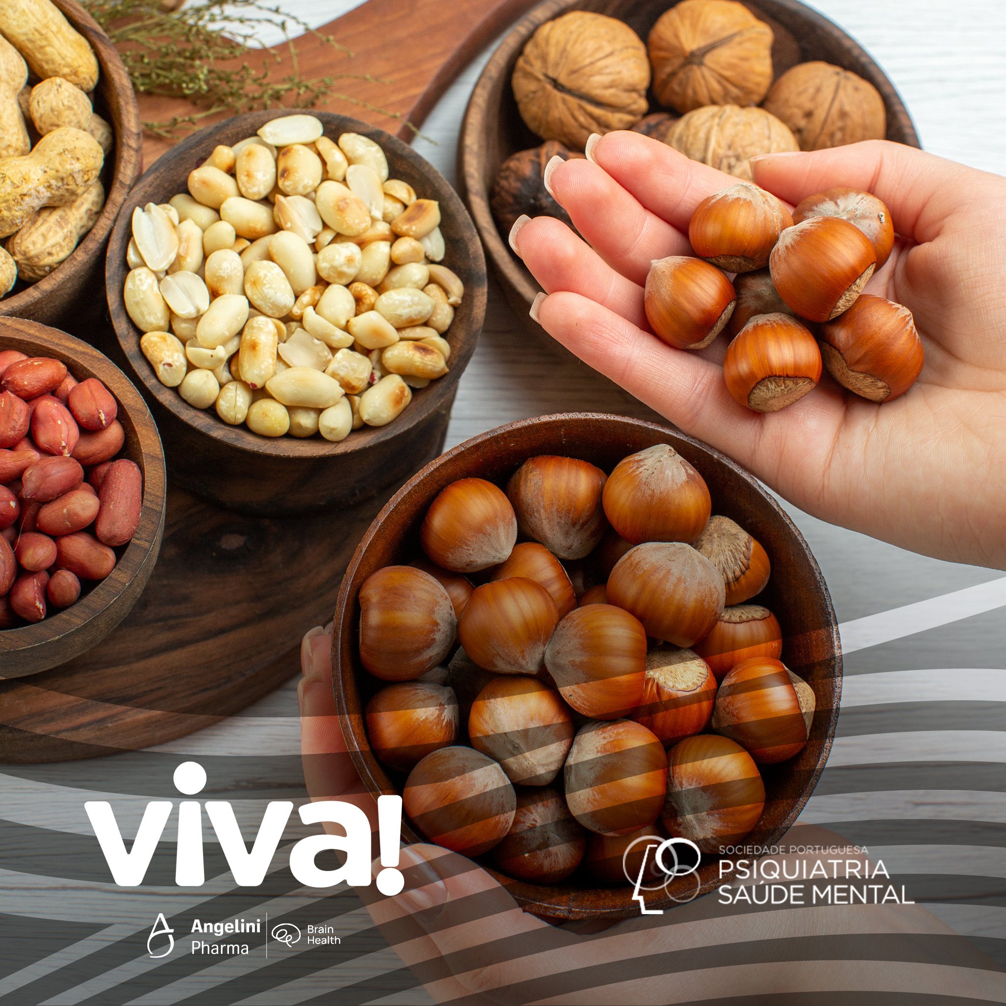 Dia de São Martinho